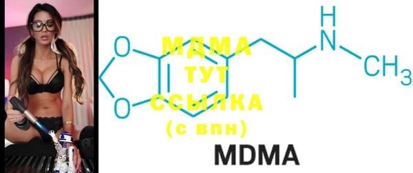 индика Богородицк